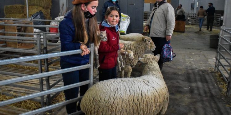 Llegó el campo a la ciudad: comenzó la Expo Prado