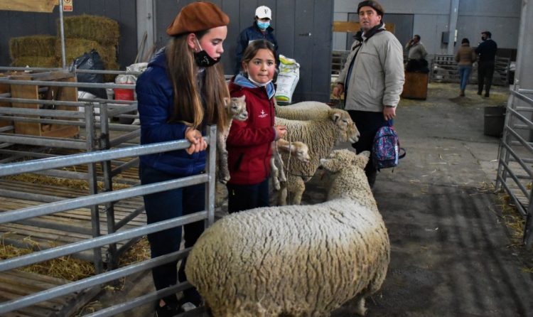 Llegó el campo a la ciudad: comenzó la Expo Prado