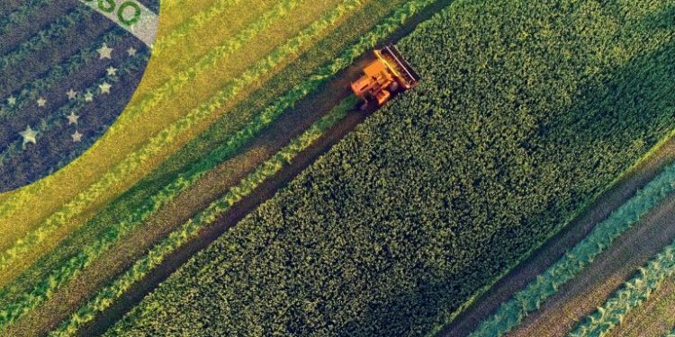 Las ‘mudanzas’ de Brasil