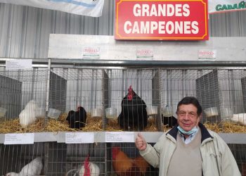 Amistad y competencia en la avicultura de raza