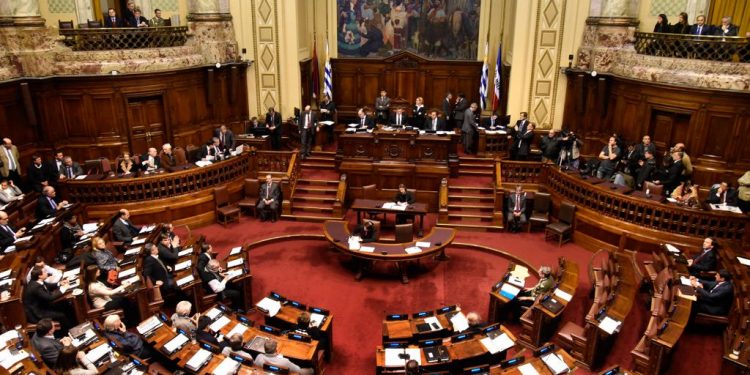 Diputados forman grupo de trabajo para abordar la baja natalidad