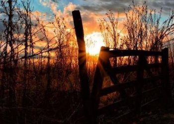 Hay altas probabilidades de ingresar en un año Niña, dijo el meteorólogo Gabriel Labrador