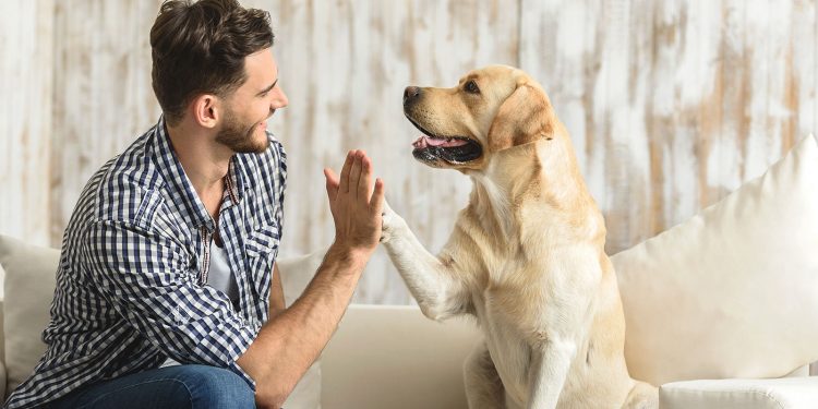 Apego a mascotas y conducta prosocial