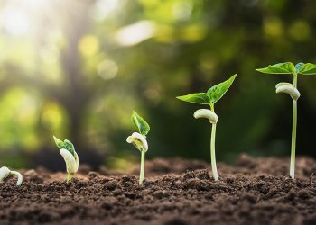 Los bancos como instrumentos de control de bienestar ambiental e inversiones sustentables