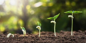 Los bancos como instrumentos de control de bienestar ambiental e inversiones sustentables