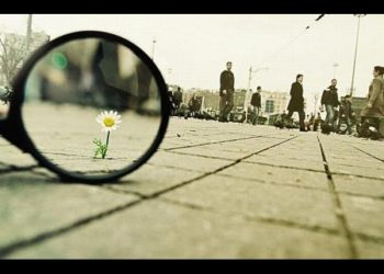La perspectiva del amor