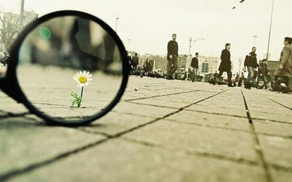 La perspectiva del amor