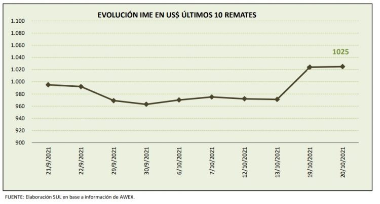Se recupera la lana y el promedio sube hasta los US$ 10,25