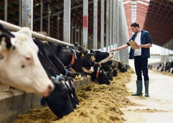 Una estrategia de crecimiento debe mejorar la productividad de la mano de obra existente, no de la que pueda surgir en el futuro