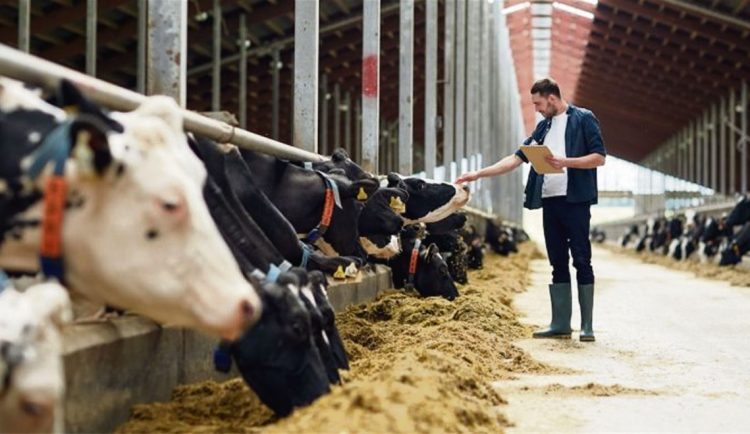 Una estrategia de crecimiento debe mejorar la productividad de la mano de obra existente, no de la que pueda surgir en el futuro