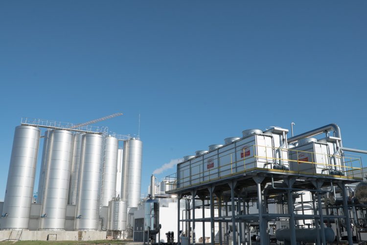 Una reforma a la neozelandesa para el sector lácteo