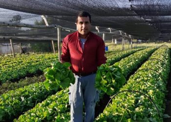 La experiencia de una granja en Canelones con certificación Kosher