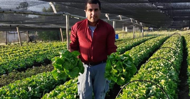 La experiencia de una granja en Canelones con certificación Kosher