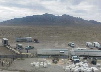 La esquila da la posibilidad de trabajar todo el año