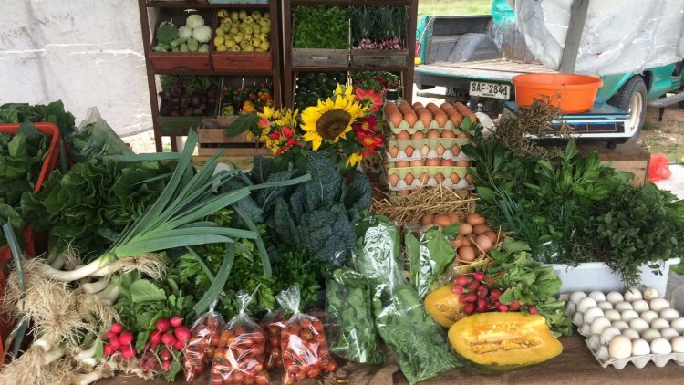 La experiencia de una granja en Canelones con certificación Kosher