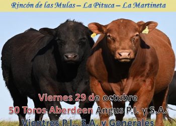 Este viernes Romualdo venderá los Angus de Primera