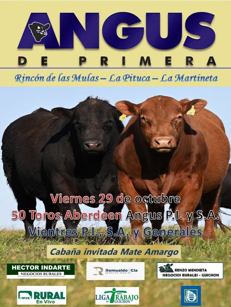 Este viernes Romualdo venderá los Angus de Primera