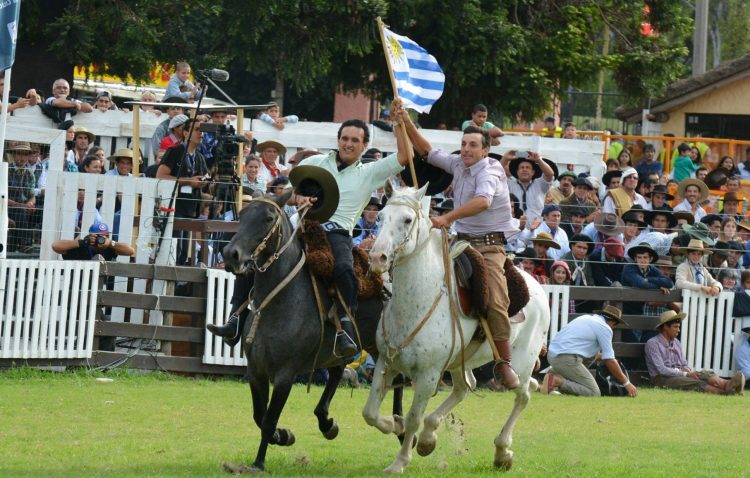 Parlamento organiza seminario sobre importancia del caballo en el entramado social