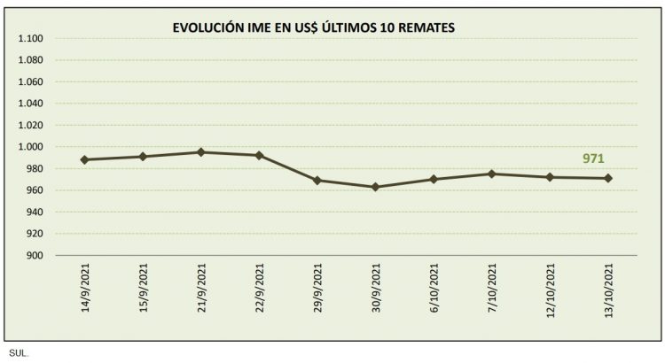 En el mercado internacional vuelve a caer el precio de la lana y surgen interrogantes respecto a China