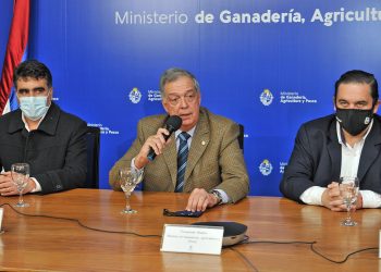 En el primer semestre de 2022 se inauguraría la Central Hortícola del Norte