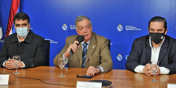 En el primer semestre de 2022 se inauguraría la Central Hortícola del Norte
