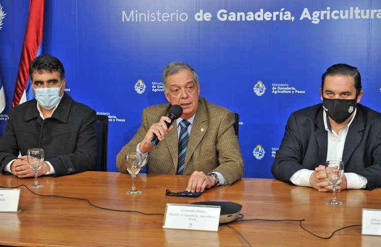 En el primer semestre de 2022 se inauguraría la Central Hortícola del Norte