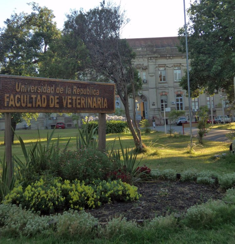 El adiós al siempre entrañable edificio de la Facultad de Veterinaria