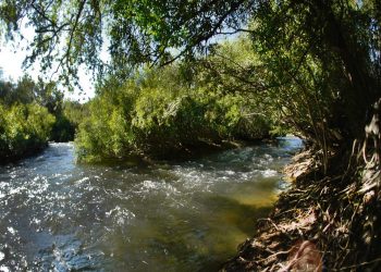 Liceales de Guichón estudian la huella de Artigas en el Queguay