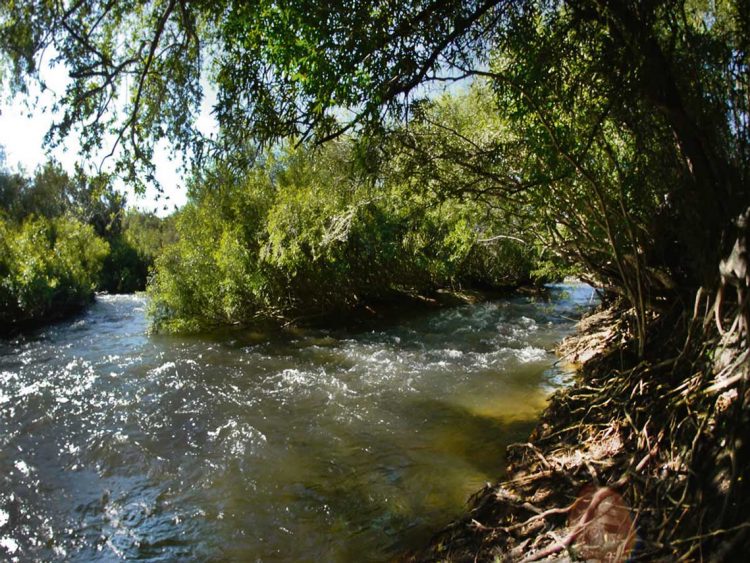 Liceales de Guichón estudian la huella de Artigas en el Queguay