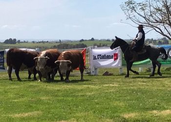 La Expo Melo 2021 ya tiene sus mejores toros