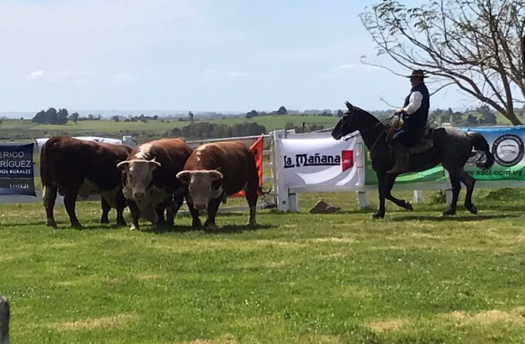 La Expo Melo 2021 ya tiene sus mejores toros