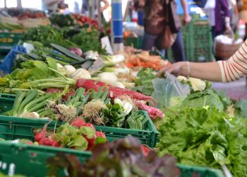 España inició debate sobre cómo evitar el desperdicio de alimentos