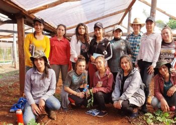 Productores orgánicos paraguayos piden políticas que los impulse y fomente ese tipo de alimentos