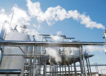 Estimular la lechería: El camino lógico que debería tomar el gobierno