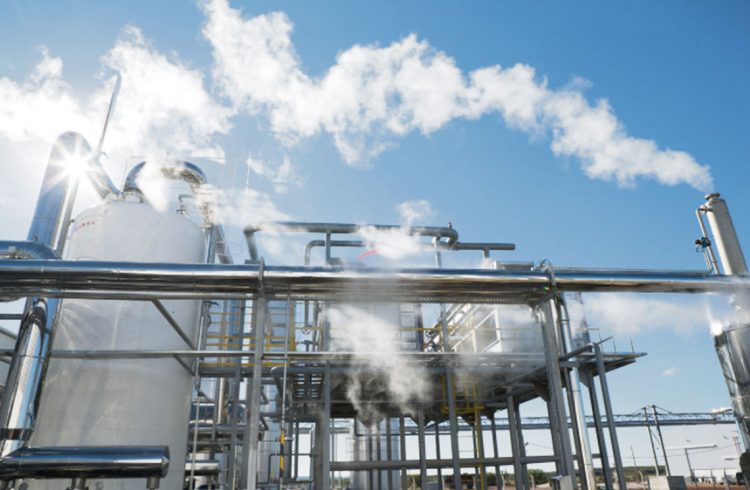 Estimular la lechería: El camino lógico que debería tomar el gobierno