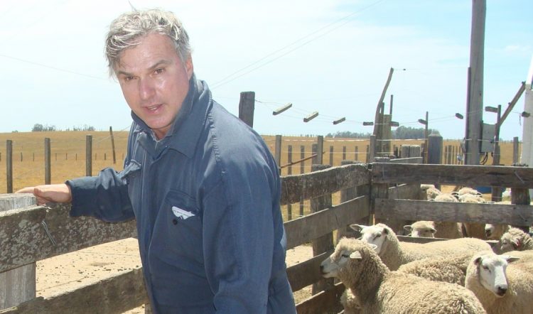 Los ovinos atraen mayor interés de la juventud