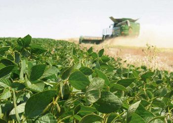 Los desafíos para la integración de la agroindustria en el Cono Sur