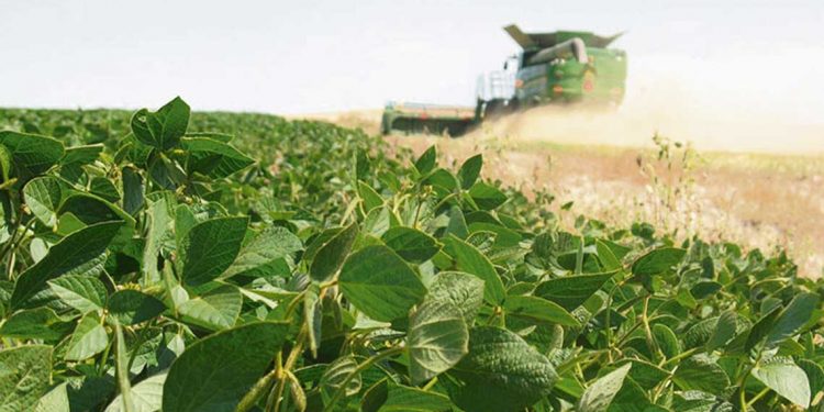 Los desafíos para la integración de la agroindustria en el Cono Sur