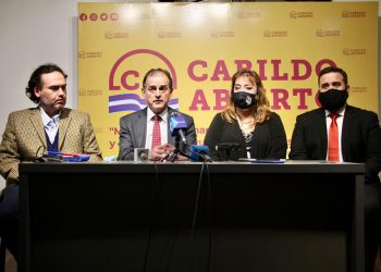 Manini presentará proyecto de ley de venia parlamentaria sobre grandes concesiones