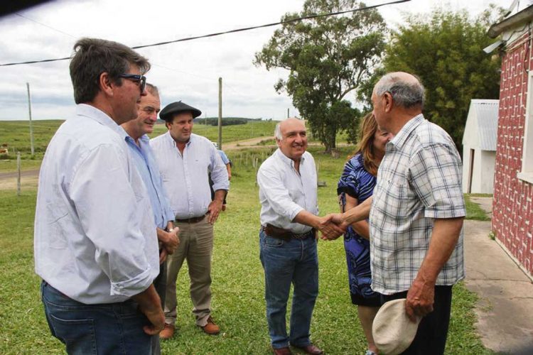 Estrategia nacional para la forestación: una de las prioridades legislativas de Cabildo Abierto