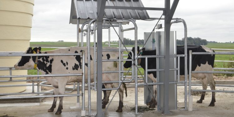 “No queremos que los jóvenes trabajen en el tambo porque no tienen otra opción, sino porque lo ven como una alternativa atractiva”