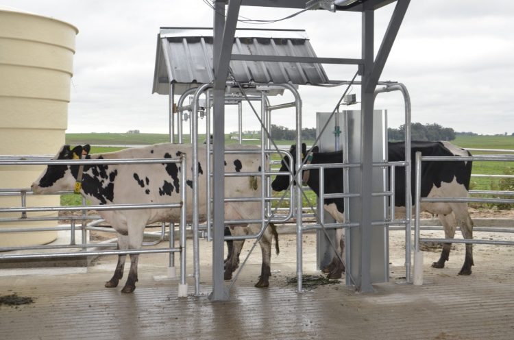 “No queremos que los jóvenes trabajen en el tambo porque no tienen otra opción, sino porque lo ven como una alternativa atractiva”