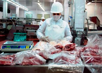 ACG: precios ajustaron a la baja y hubo importante caída en faena de vacunos