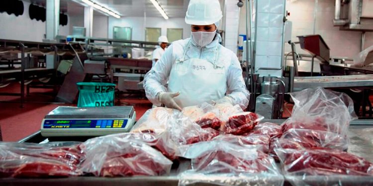 ACG: precios ajustaron a la baja y hubo importante caída en faena de vacunos