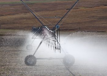 Senador Domenech afirmó que generalizar el riego incrementaría la producción agrícola