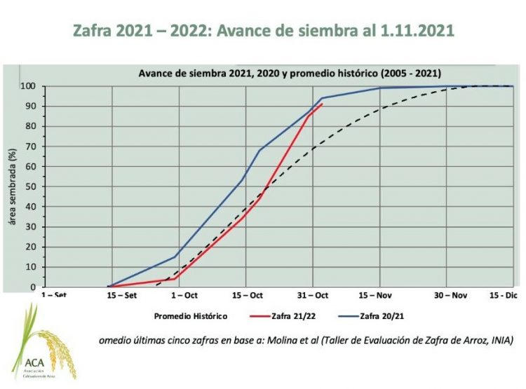 La siembra del arroz avanzó al 91% del área