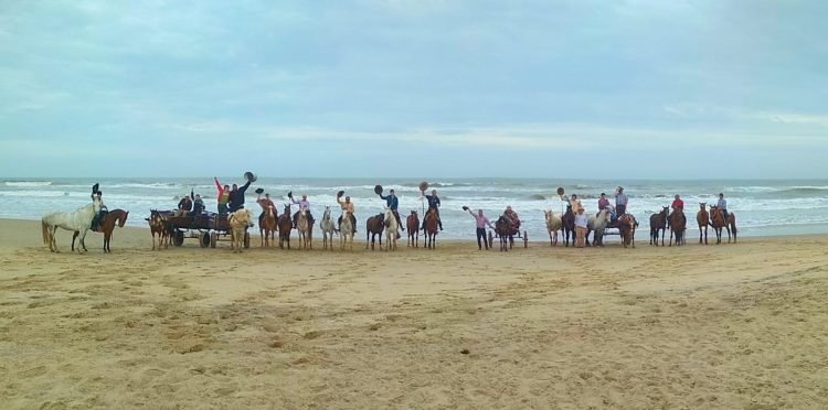 Desde los campos arroceros hasta el océano rochense a caballo
