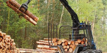 Estrategia nacional para la forestación: una de las prioridades legislativas de Cabildo Abierto