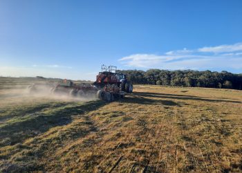 La siembra del arroz avanzó al 91% del área