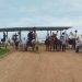 Desde los campos arroceros hasta el océano rochense a caballo